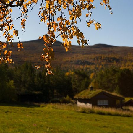 Oigardseter Fjellstue 호텔 호브링겐 외부 사진