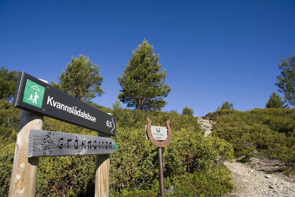 Oigardseter Fjellstue 호텔 호브링겐 외부 사진